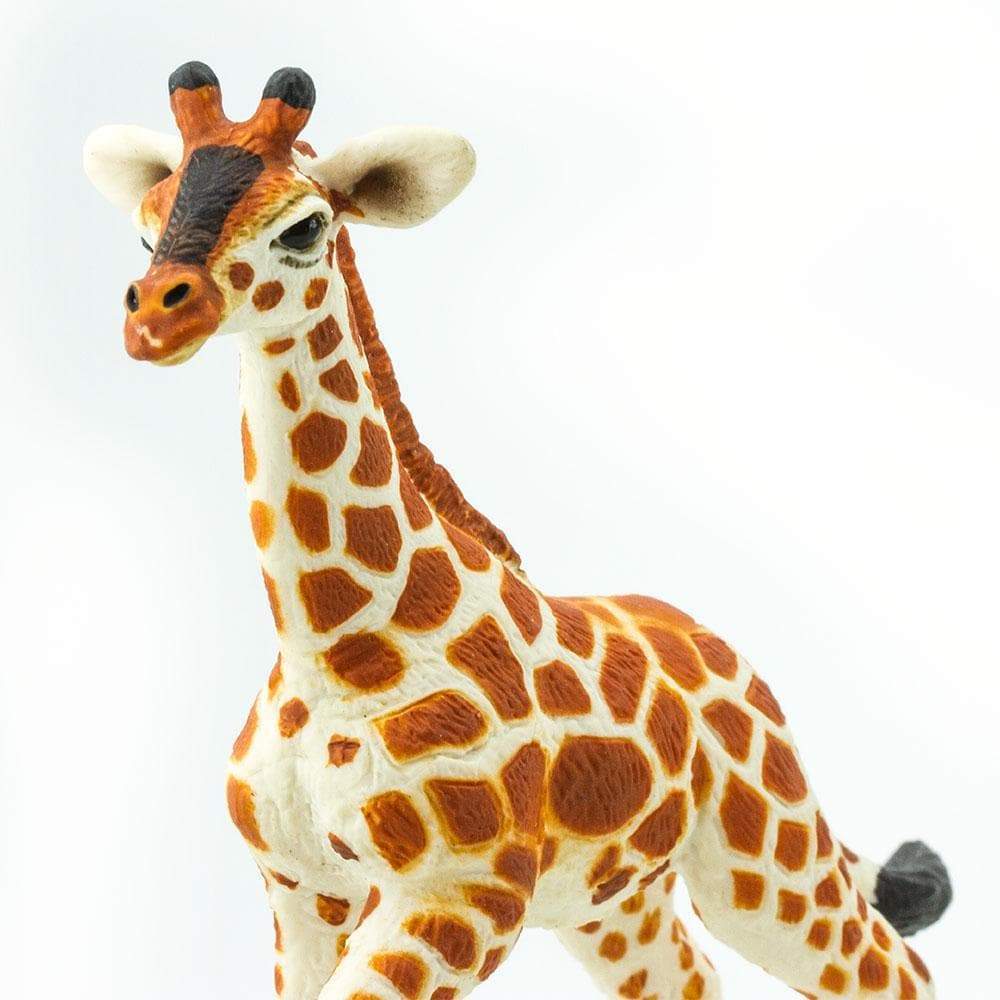 Reticulated Giraffe Baby Toy | Wildlife Animal Toys | Safari Ltd®