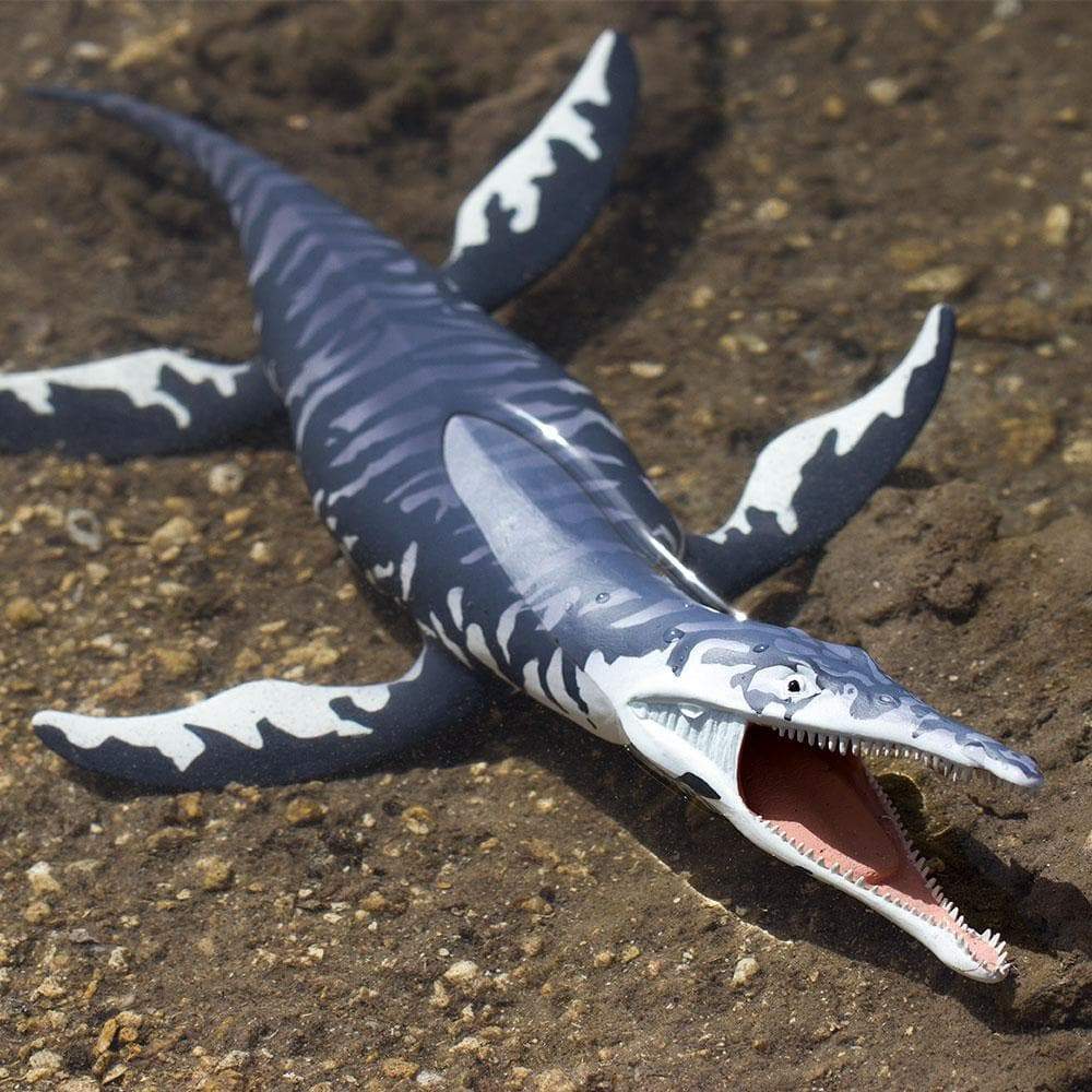 Kronosaurus Toy | Dinosaur Toys | Safari Ltd®