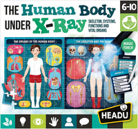 Headu The Human Body Under X-Ray Puzzle
