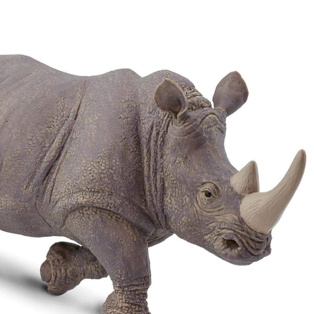 White Rhino Toy | Wildlife Animal Toys | Safari Ltd®