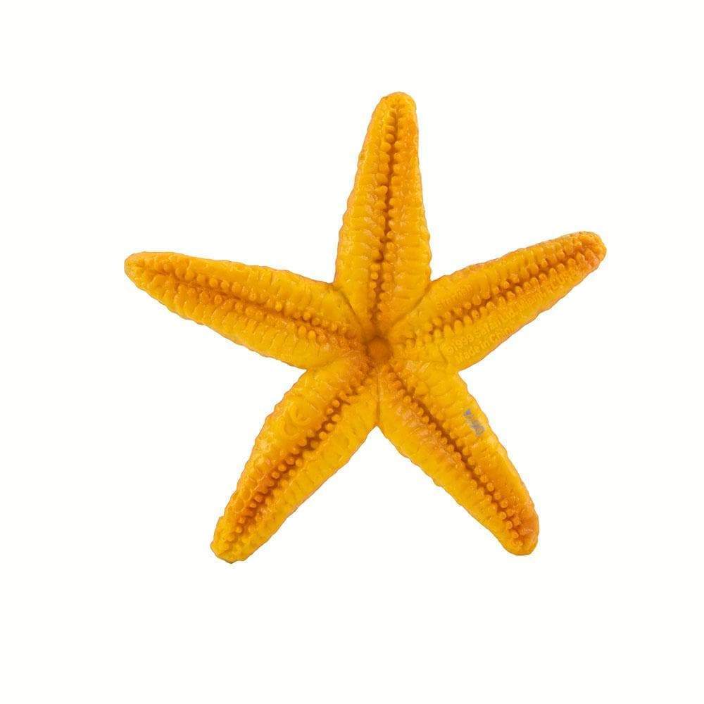 Orange Starfish Toy | Sea Life | Safari Ltd®