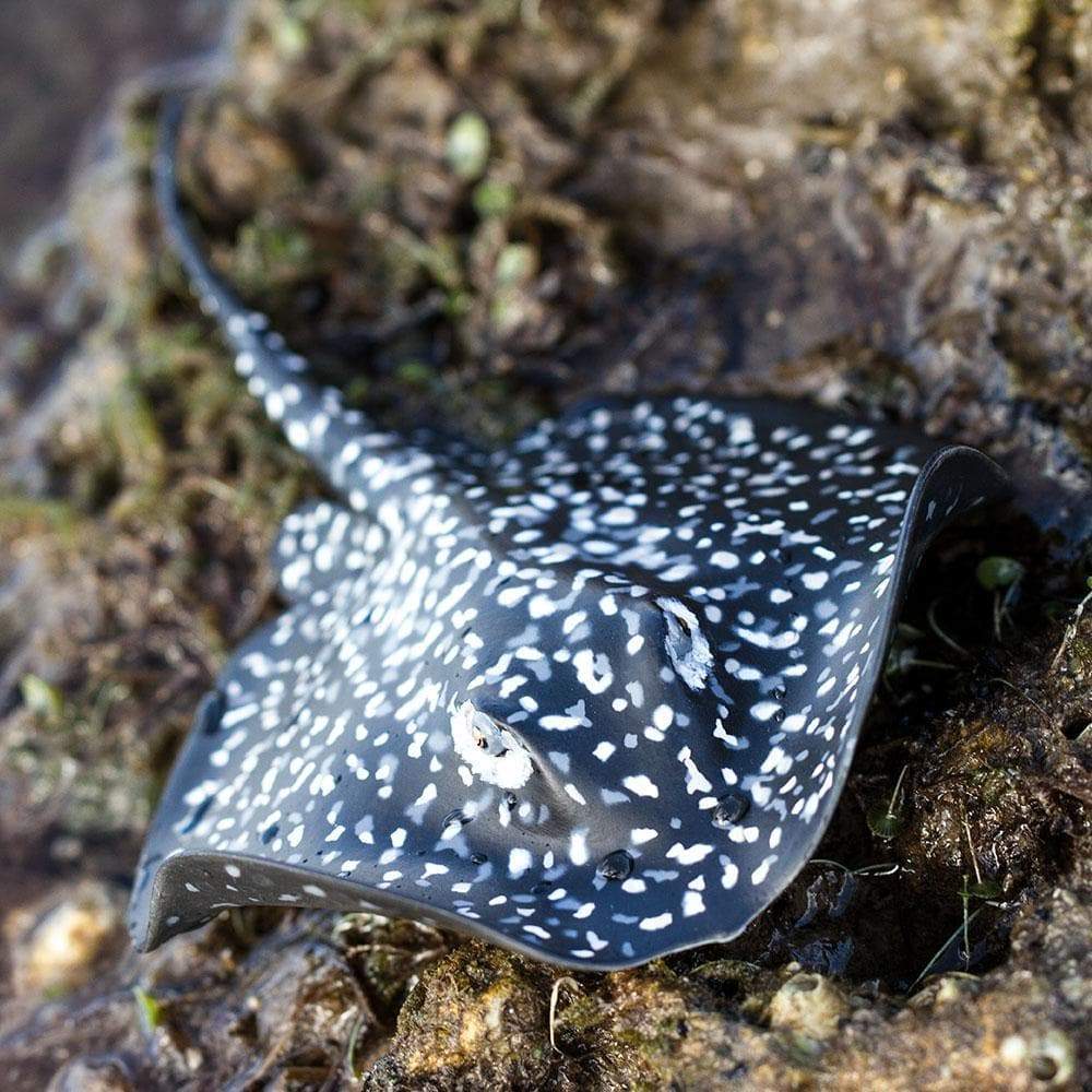 Marble Ray Toy | Safari Ltd®