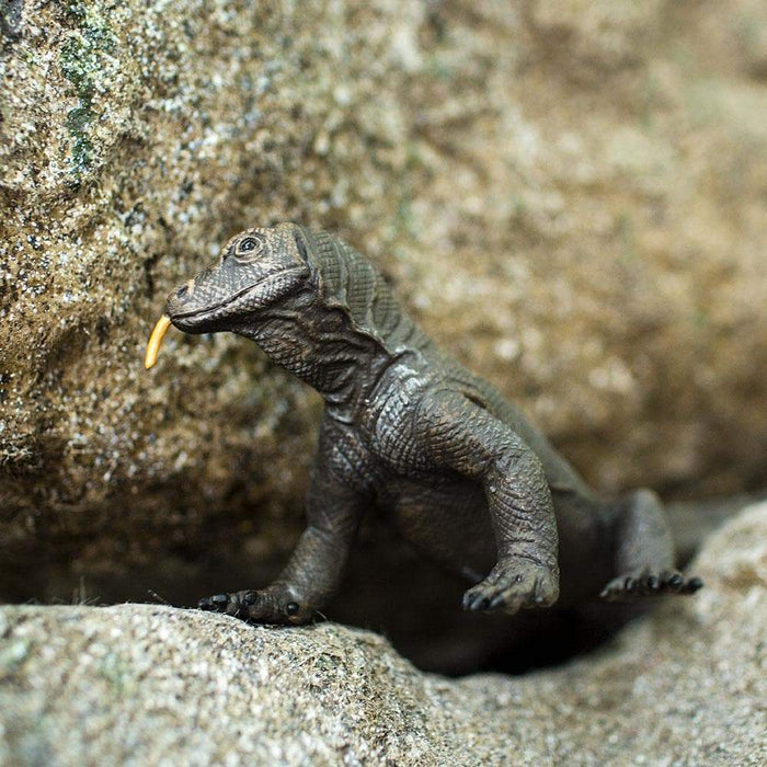 Komodo Dragon Toy | Incredible Creatures | Safari Ltd®