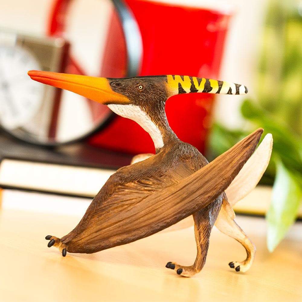 Pteranodon | Dinosaur Toys | Safari Ltd®