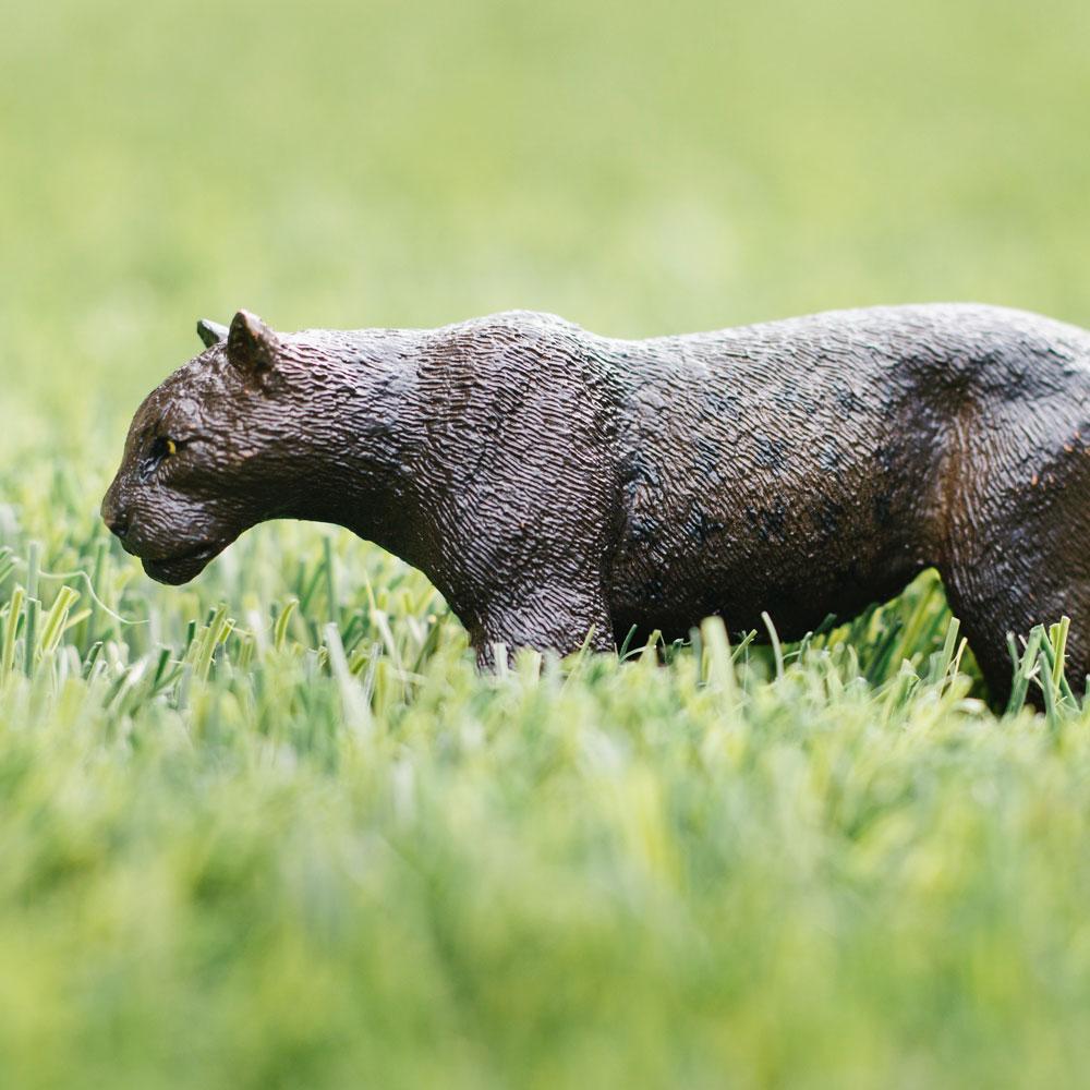 Black Panther Toy | Wildlife Animal Toys | Safari Ltd®