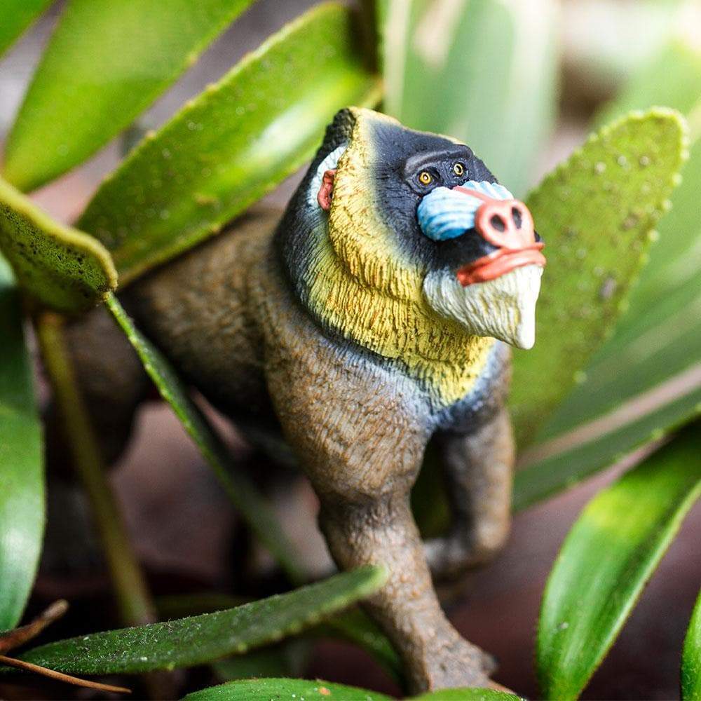 Mandrill Toy | Wildlife Animal Toys | Safari Ltd®