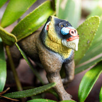 Mandrill Toy | Wildlife Animal Toys | Safari Ltd®