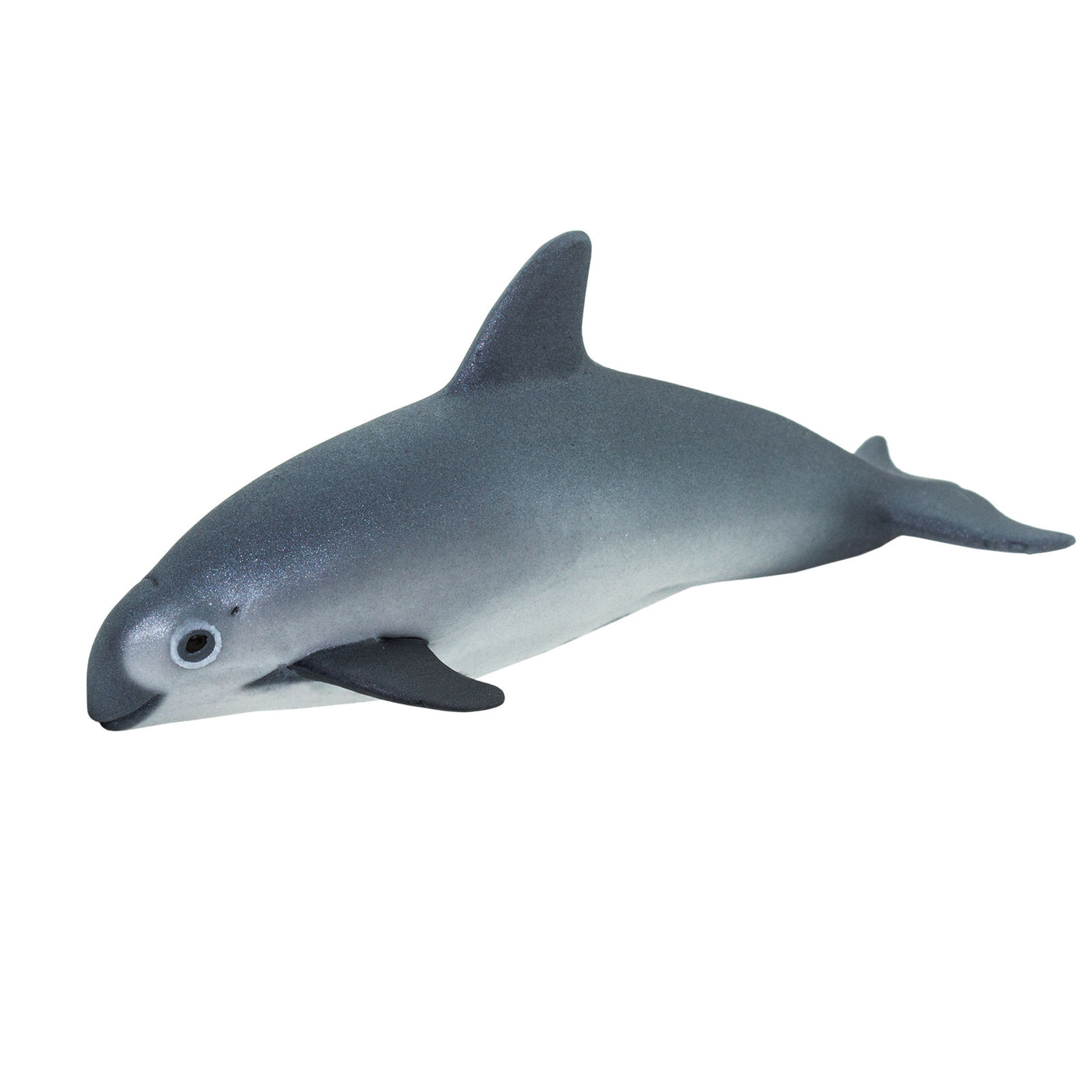 Vaquita Porpoise Toy | Sea Life | Safari Ltd®