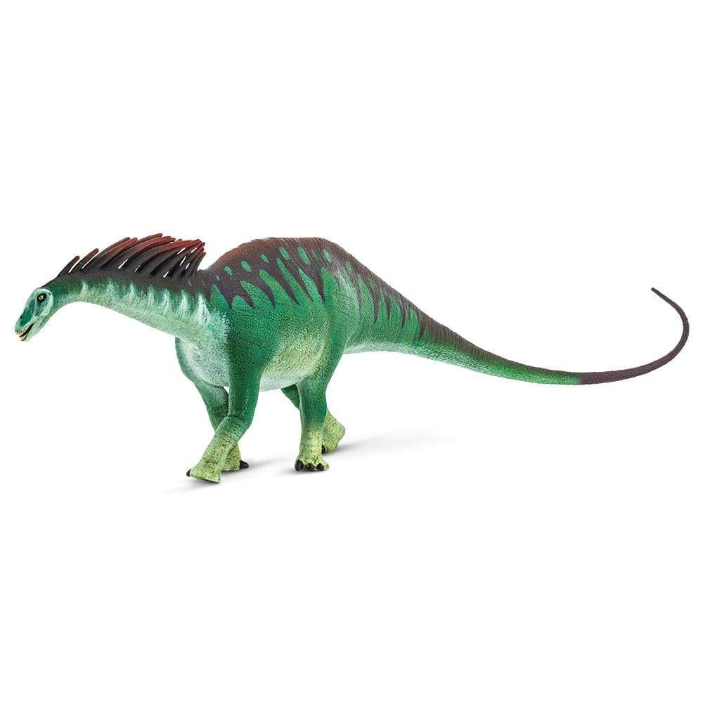 Amargasaurus Toy | Dinosaur Toys | Safari Ltd®