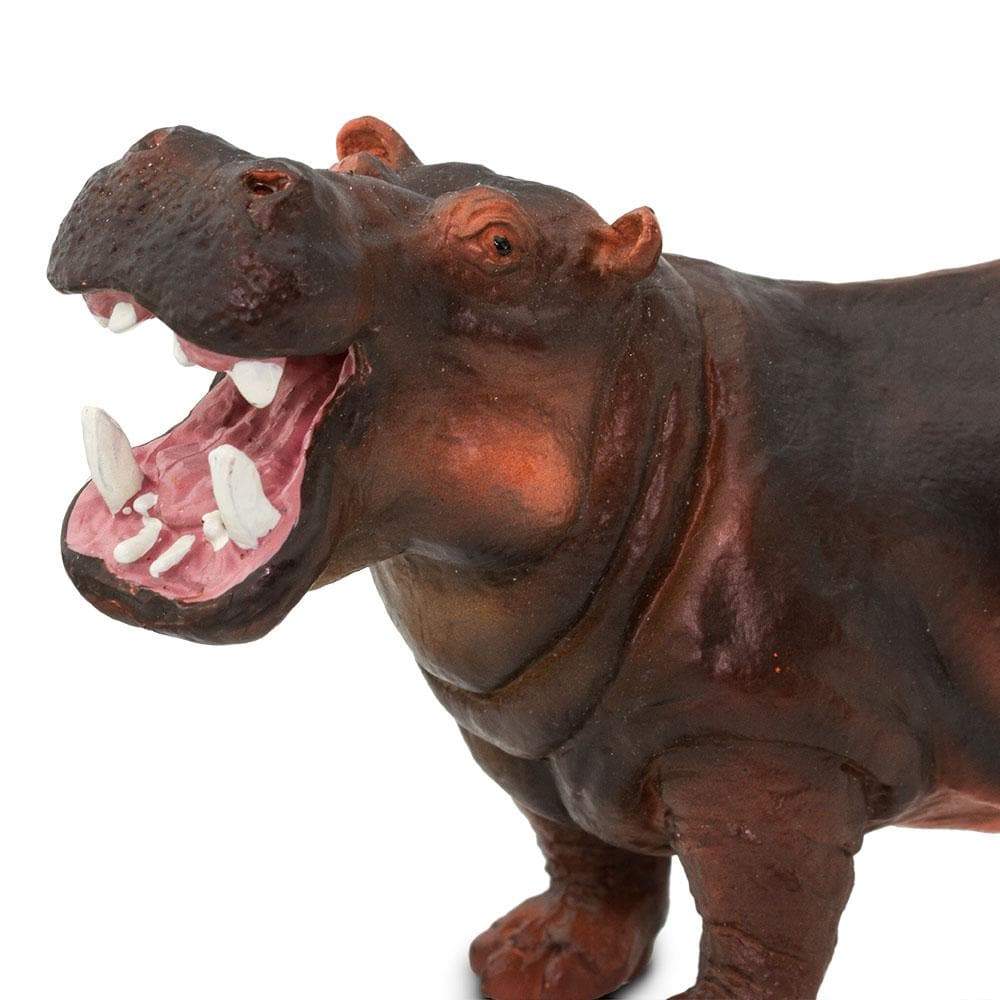 Hippopotamus Toy | Wildlife Animal Toys | Safari Ltd®