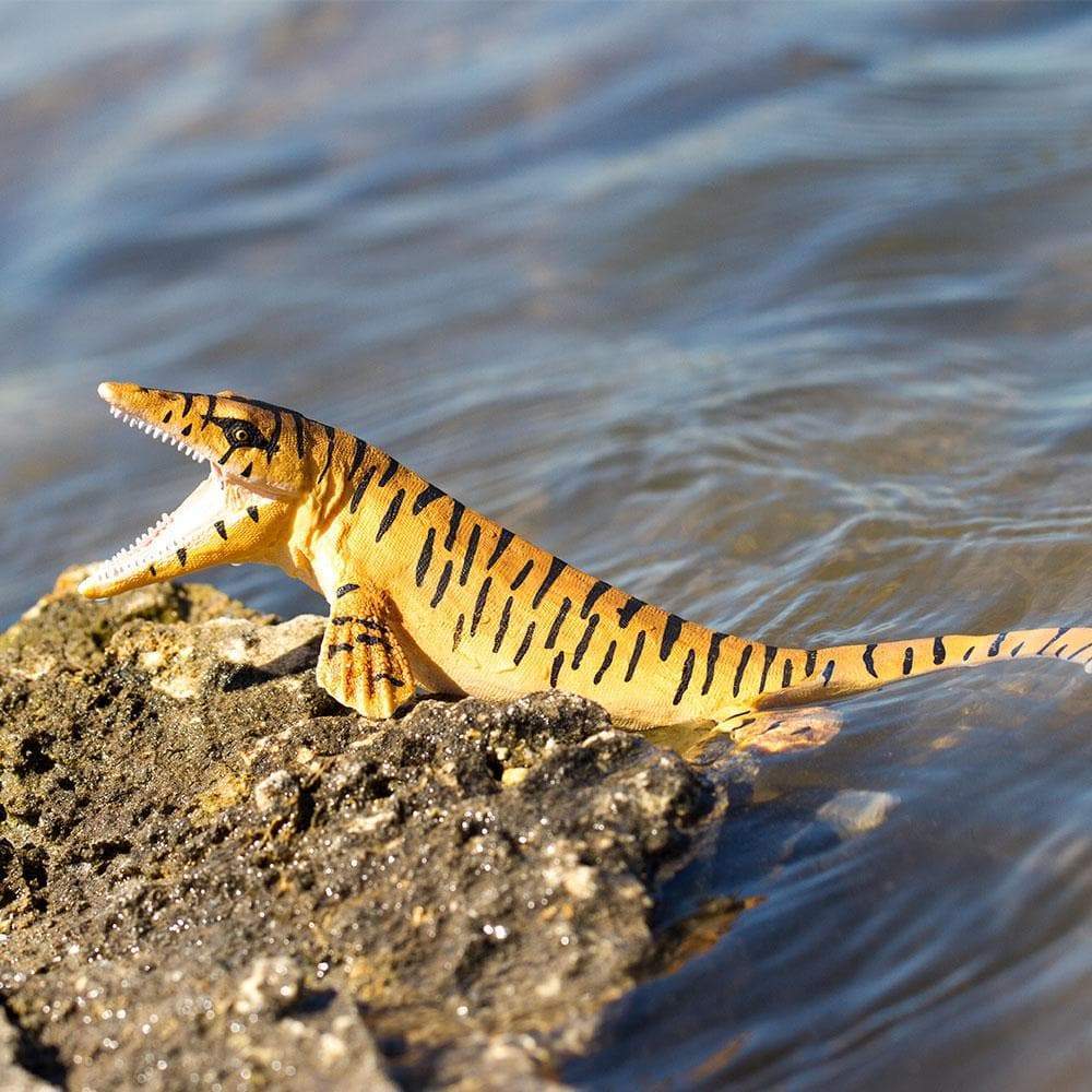 Tylosaurus Toy | Dinosaur Toys | Safari Ltd®