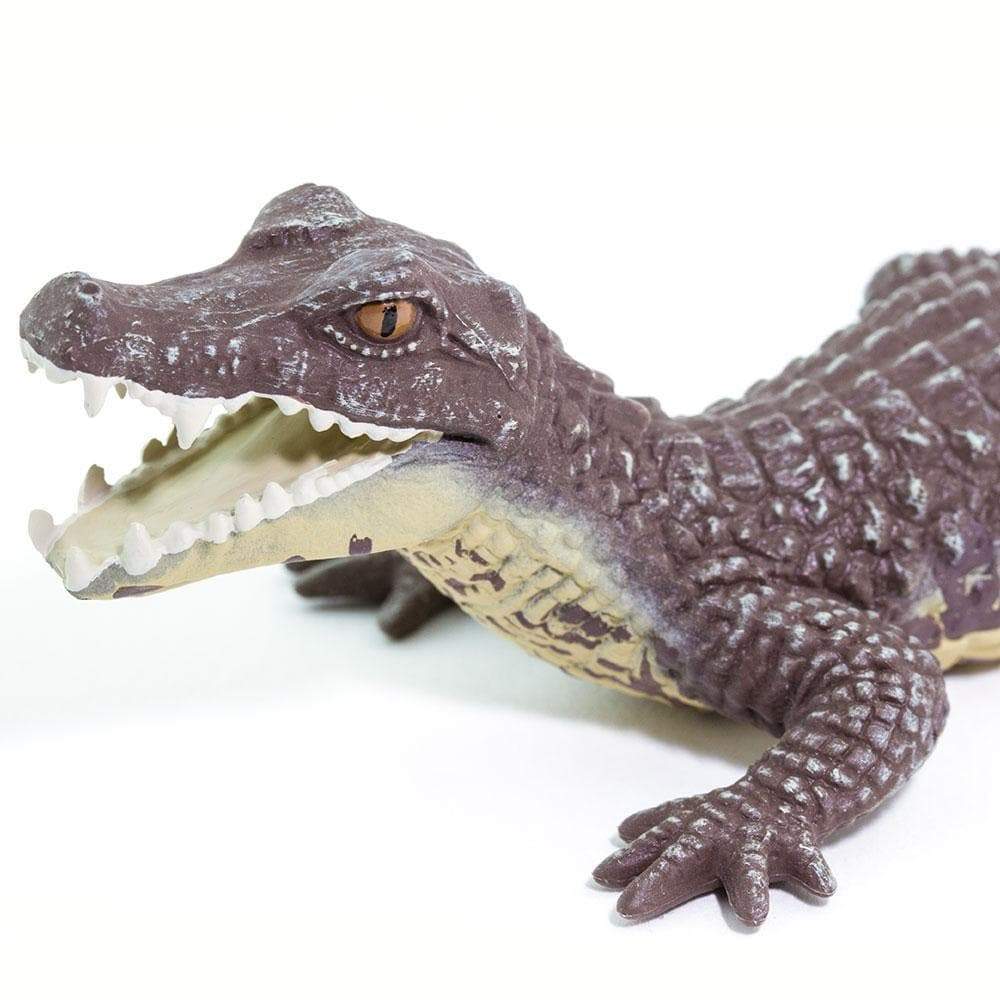 Caiman Toy | Wildlife Animal Toys | Safari Ltd®