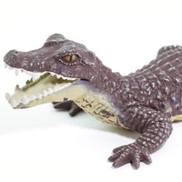 Caiman Toy | Wildlife Animal Toys | Safari Ltd®