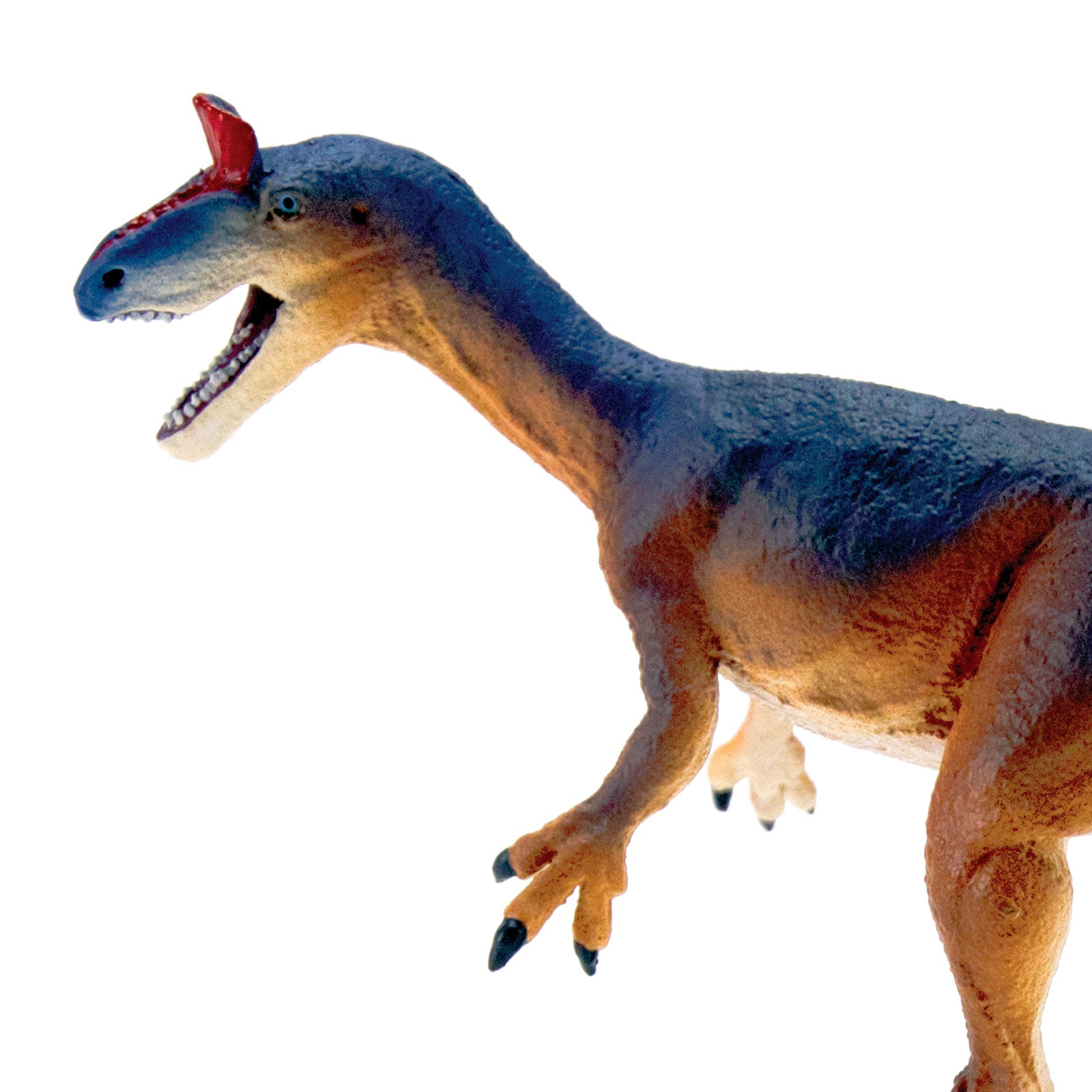 Cryolophosaurus Toy Dinosaur Figure |  | Safari Ltd®