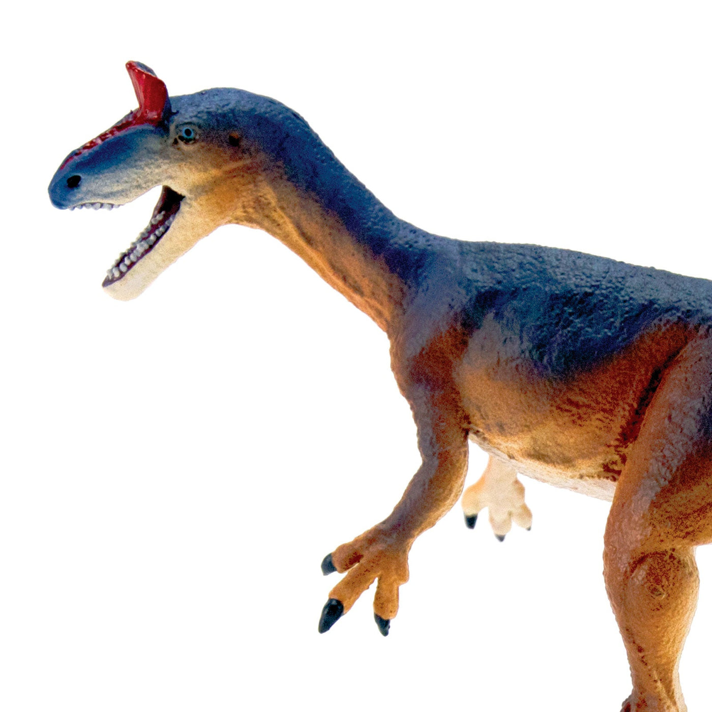 Cryolophosaurus Toy |  | Safari Ltd®