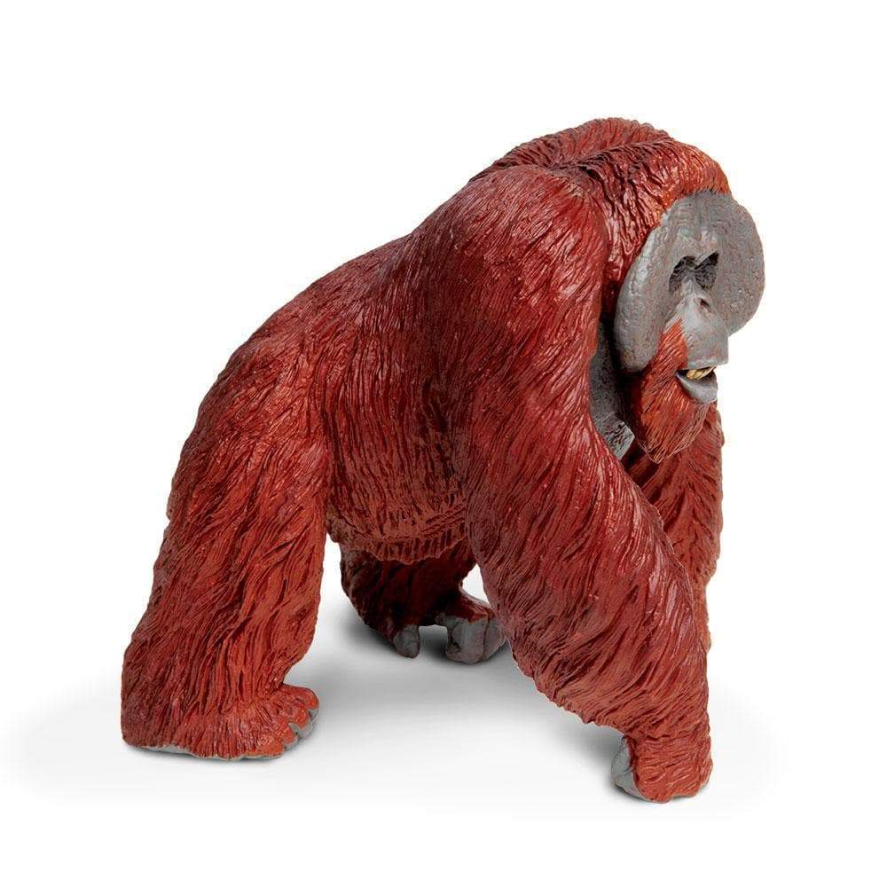 Bornean Orangutan Toy | Wildlife Animal Toys | Safari Ltd®