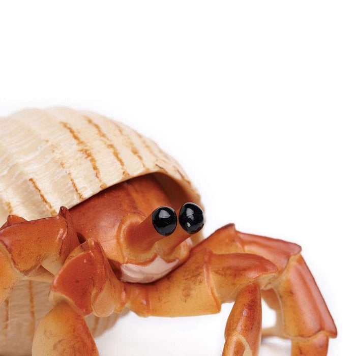 Hermit Crab Toy | Incredible Creatures | Safari Ltd®