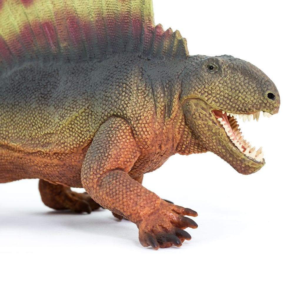 Dimetrodon Toy | Dinosaur Toys | Safari Ltd®