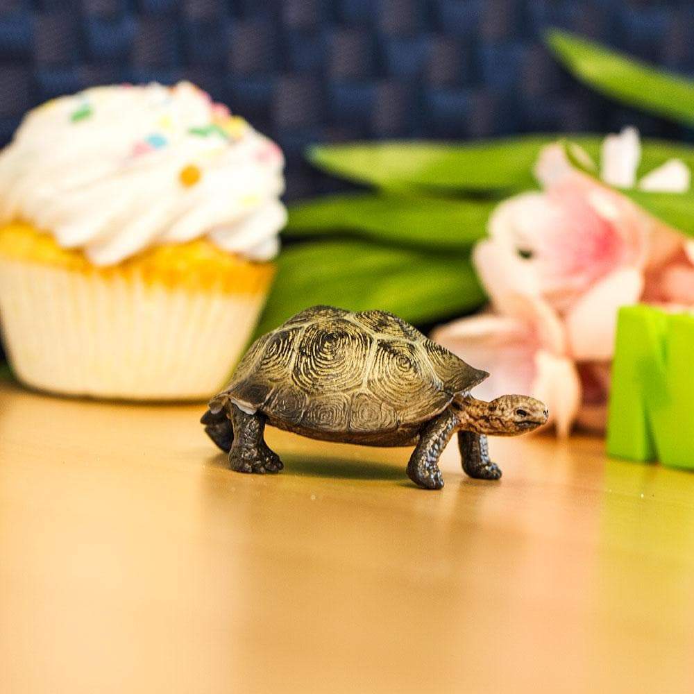 Desert Tortoise Toy | Safari Ltd®