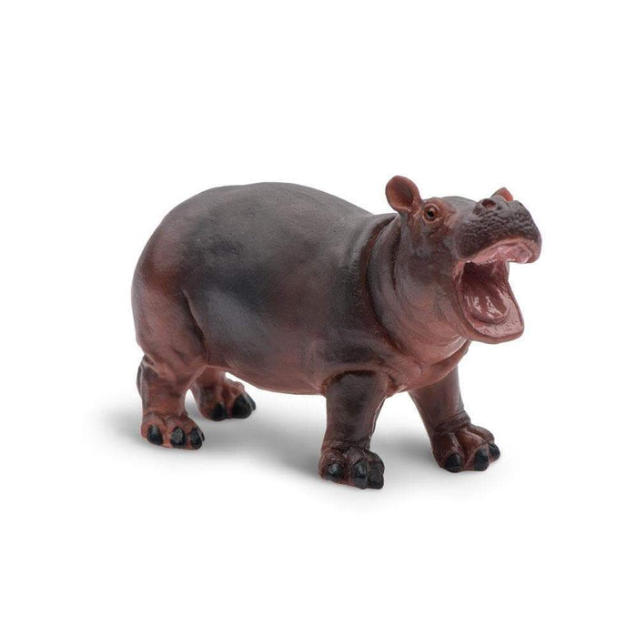 Hippopotamus Baby Toy | Wildlife Animal Toys | Safari Ltd®