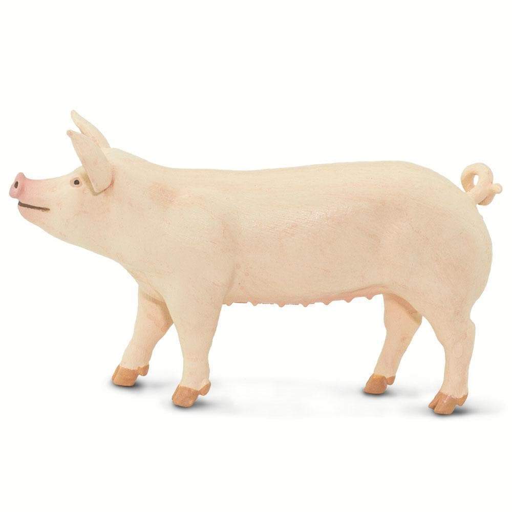 Large White Pig Toy | Incredible Creatures | Safari Ltd®