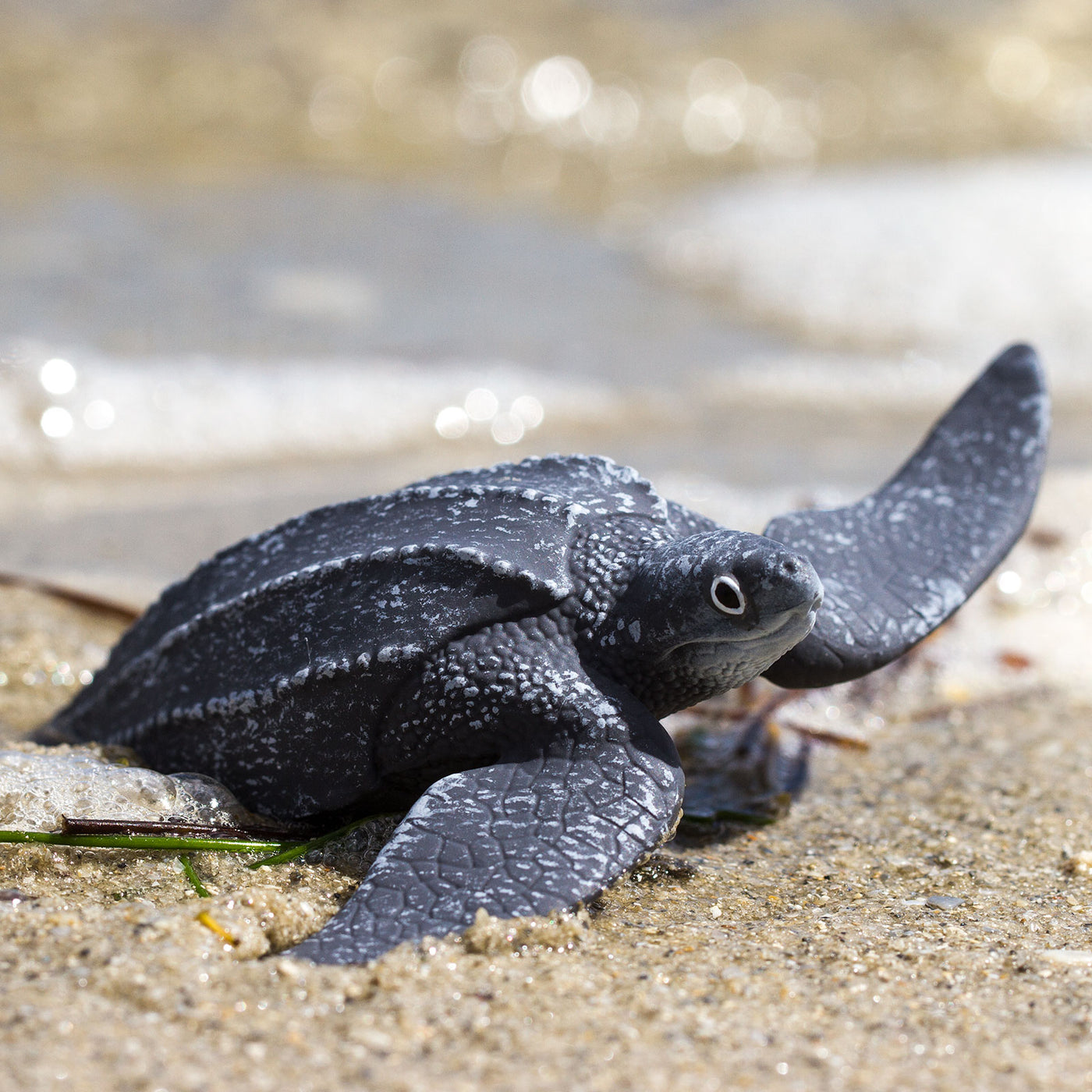 Leatherback Sea Turtle Toy | Sea Life | Safari Ltd®