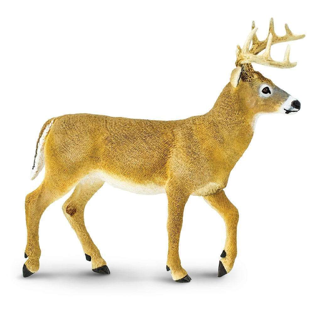 Whitetail Deer Buck Toy | Safari Ltd®