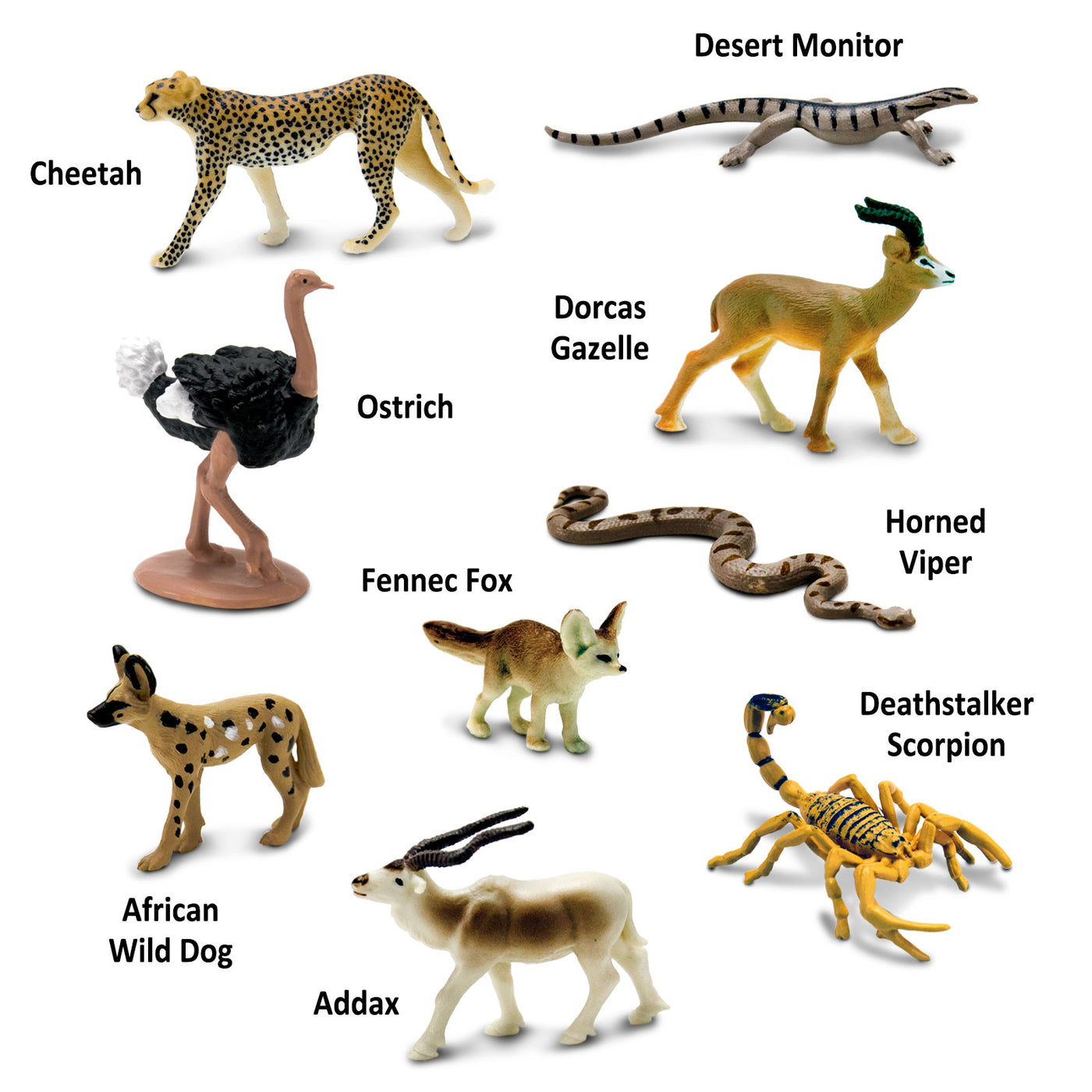 Sahara Desert Animals TOOB |  | Safari Ltd®