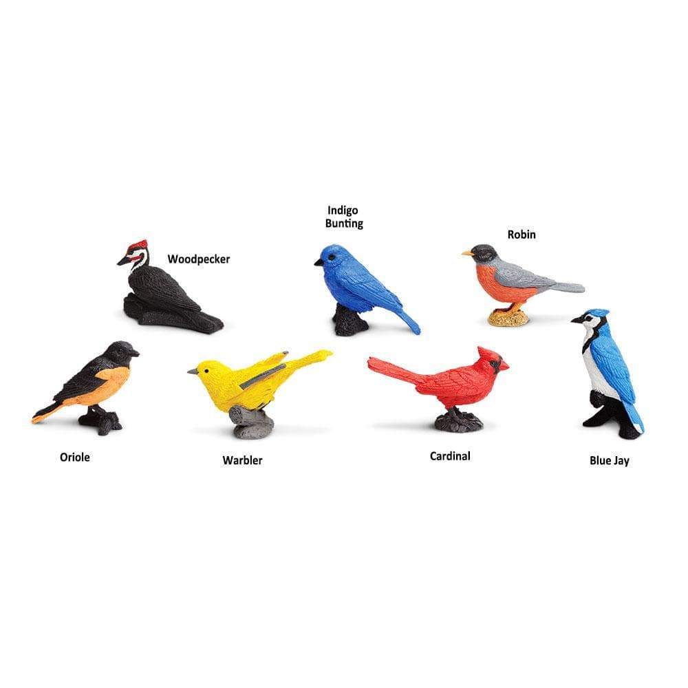 Backyard Birds TOOB – Mini Bird Figurines for Kids, Boys and Girls