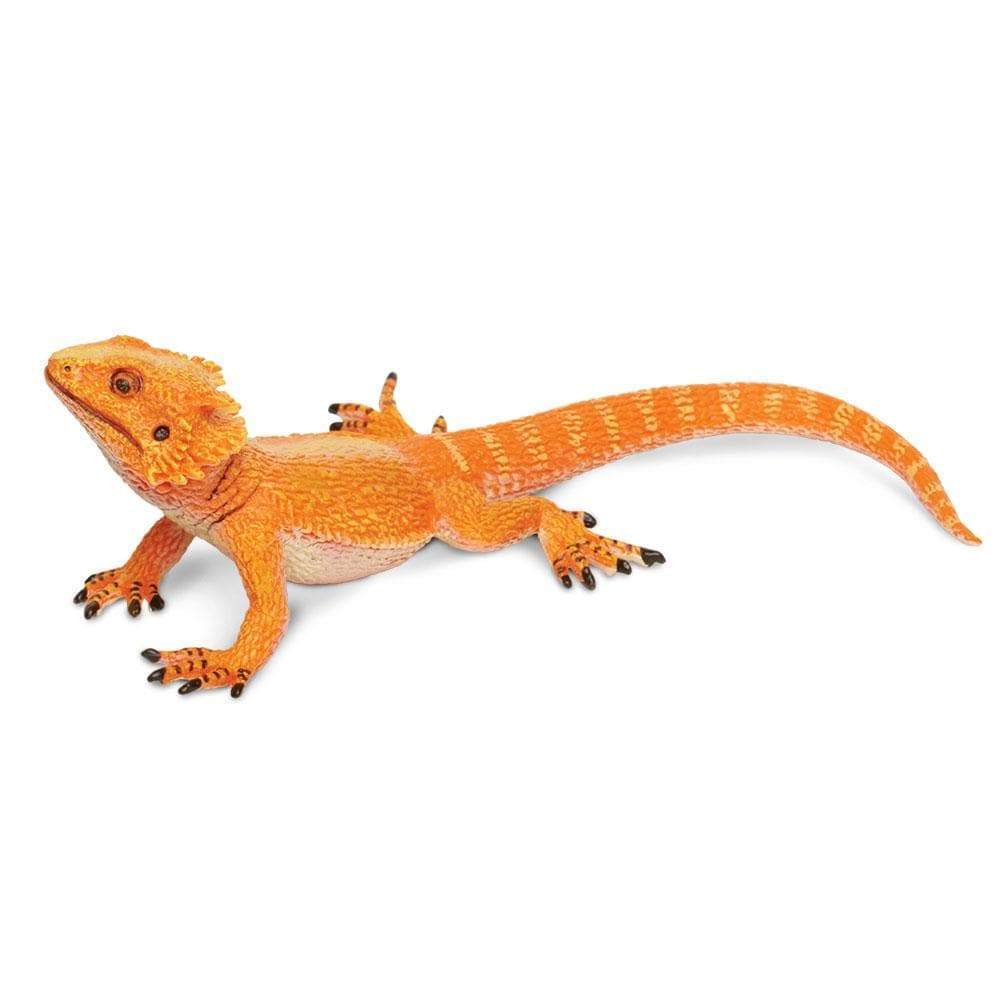Bearded Dragon Toy | Incredible Creatures | Safari Ltd®
