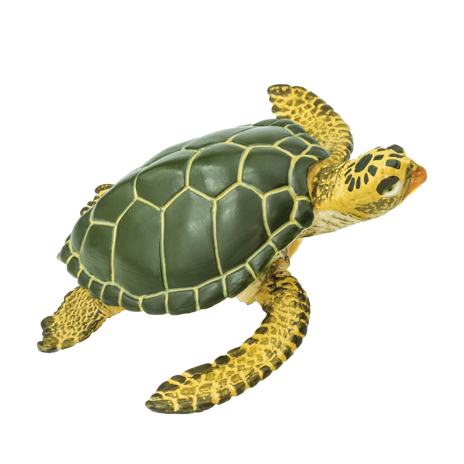 Green Sea Turtle Figurine | Safari Ltd® Ocean Animal Toy | Safari Ltd®
