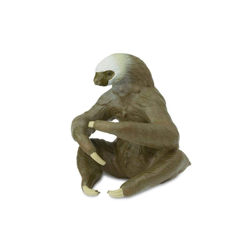 Two-Toed Sloth Toy | Wildlife Animal Toys | Safari Ltd®