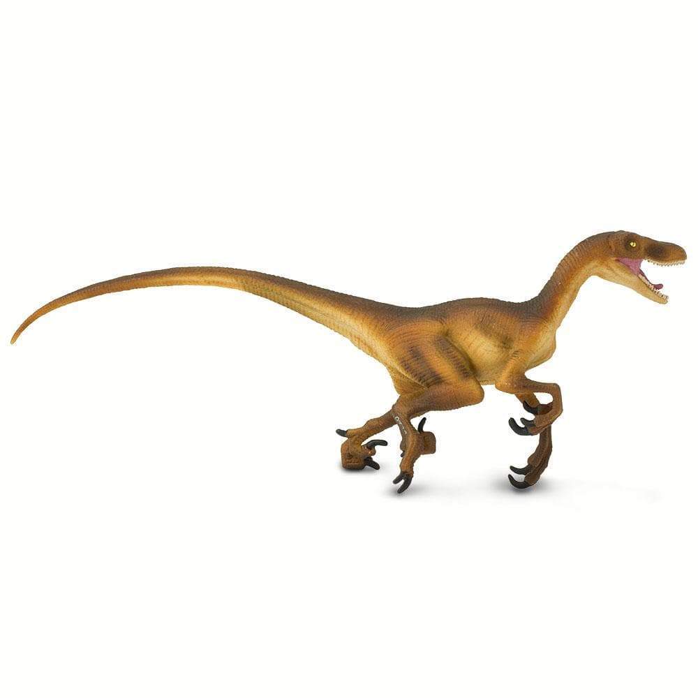 Velociraptor Toy | Dinosaur Toys | Safari Ltd®