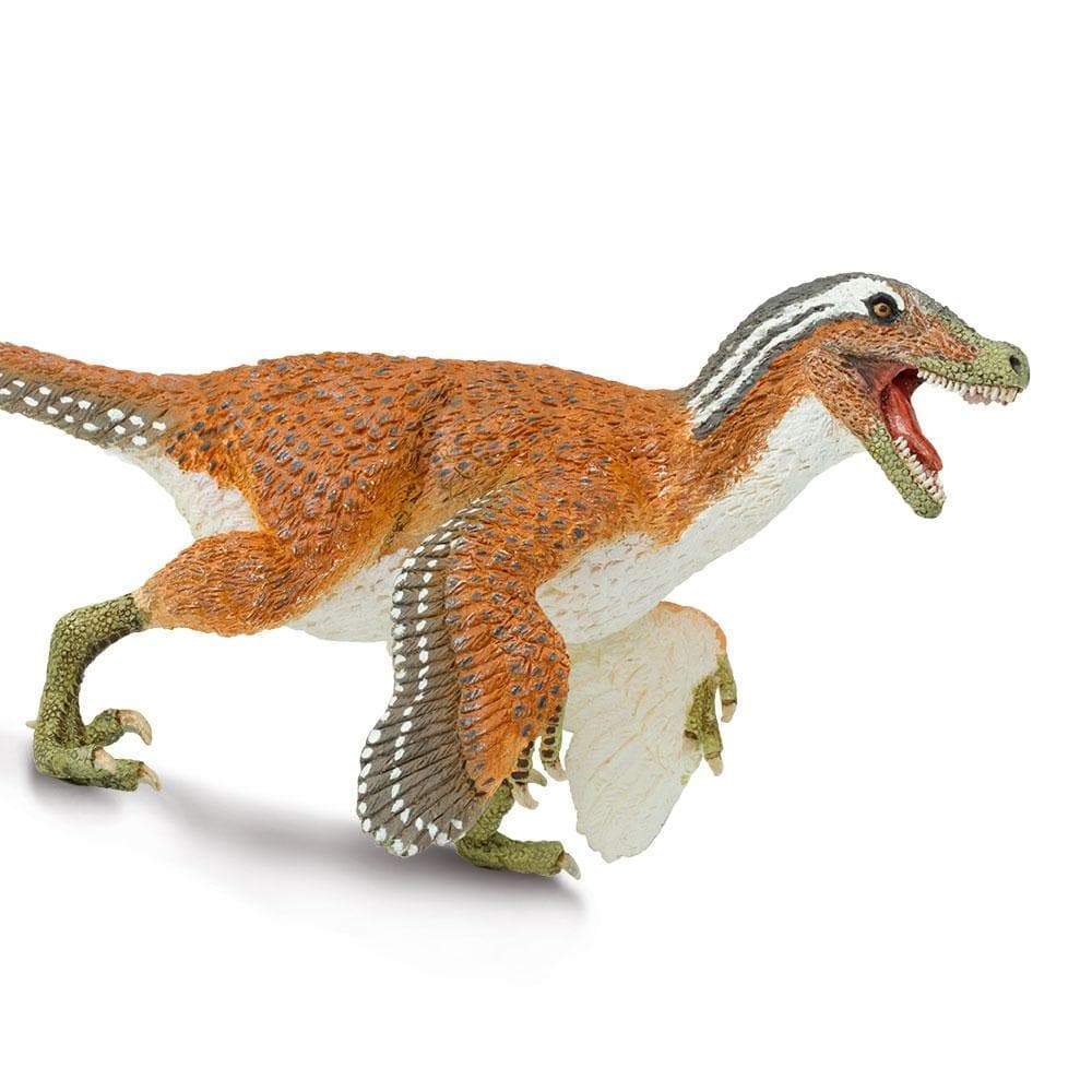 Feathered Velociraptor Toy | Dinosaur Toys | Safari Ltd®