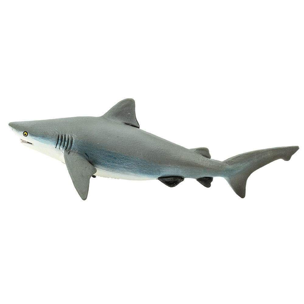 Bull Shark Toy | Sea Life | Safari Ltd®