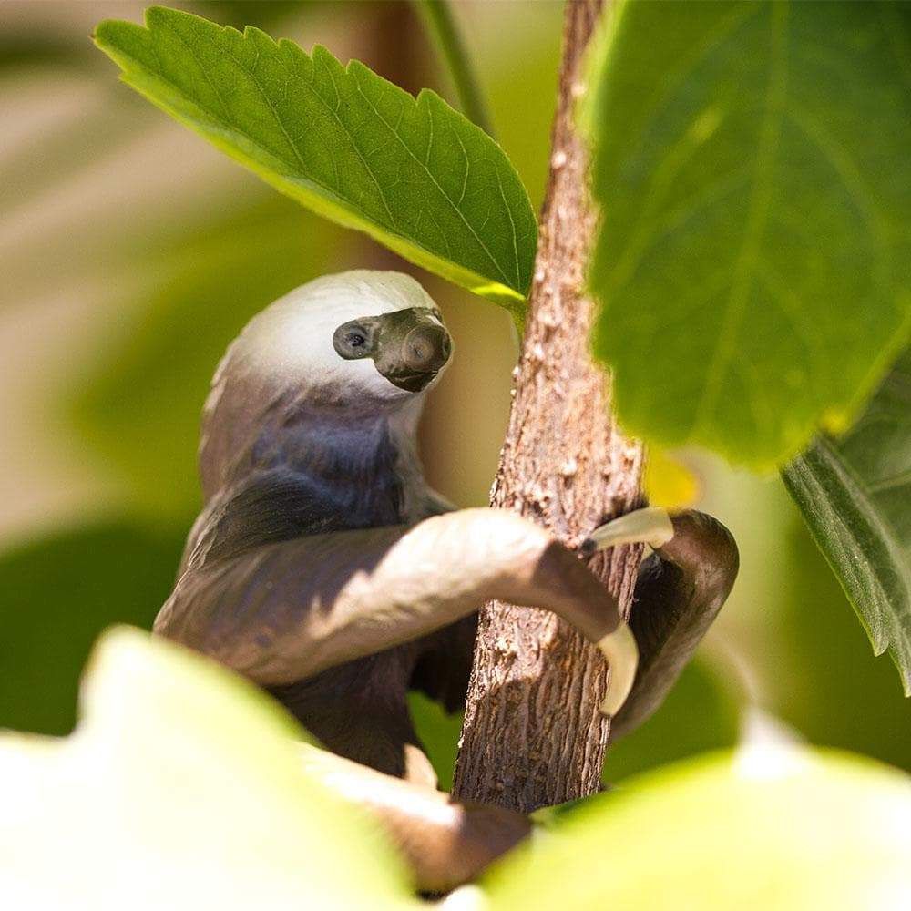 Two-Toed Sloth Toy | Wildlife Animal Toys | Safari Ltd®