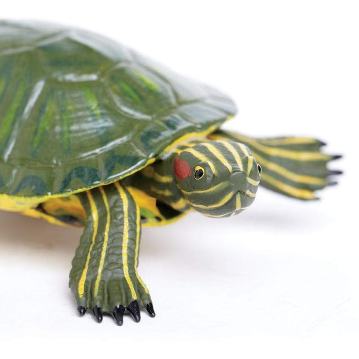 Red-Eared Slider Turtle Toy | Incredible Creatures | Safari Ltd®
