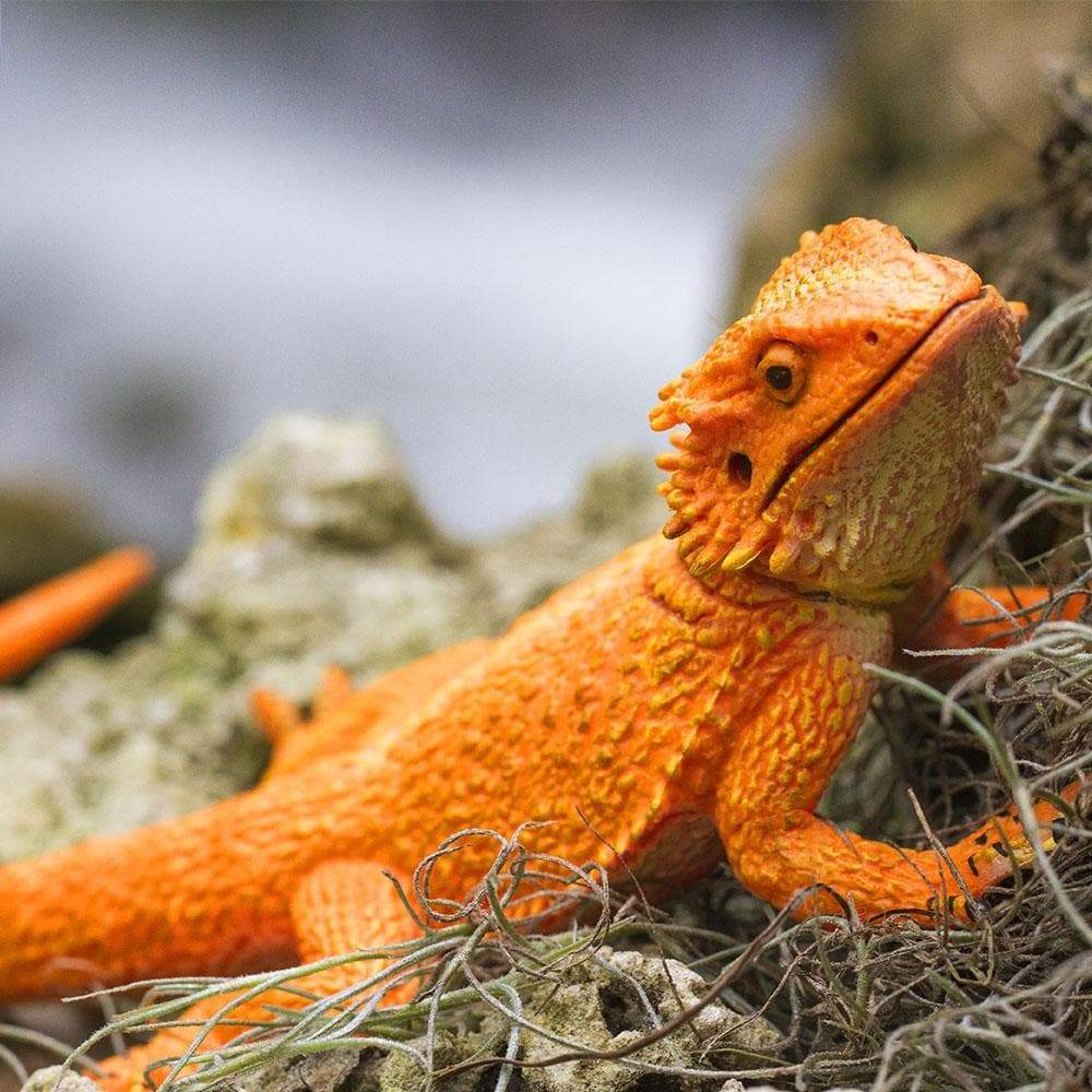 Bearded Dragon Toy | Incredible Creatures | Safari Ltd®