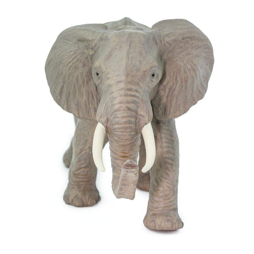 African Elephant Toy | Wildlife Animal Toys | Safari Ltd®