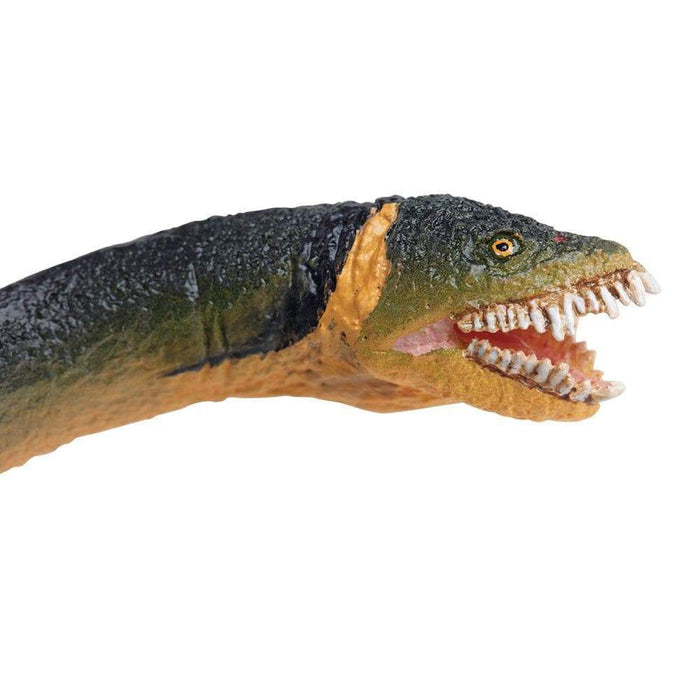 Elasmosaurus Toy | Dinosaur Toys | Safari Ltd®