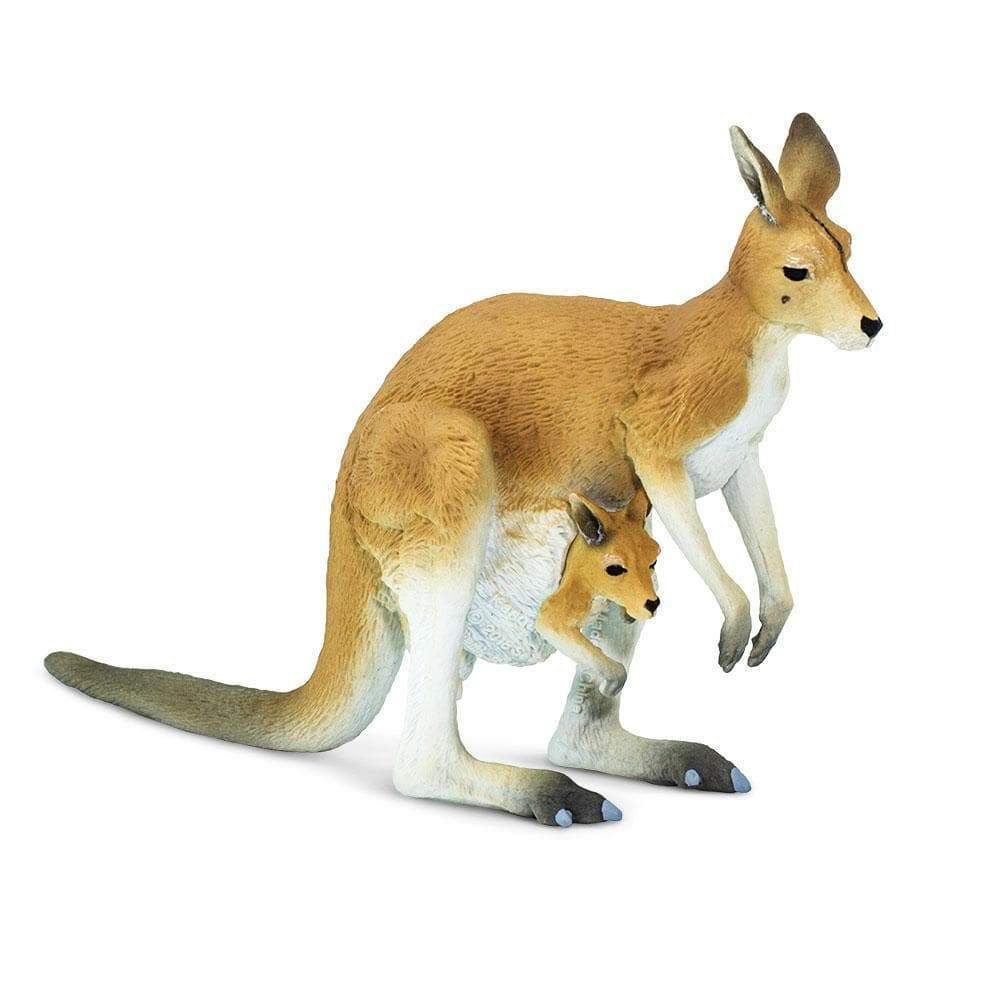 Kangaroo with Joey Figure – Realistic Animal Toy for Kids, Boys