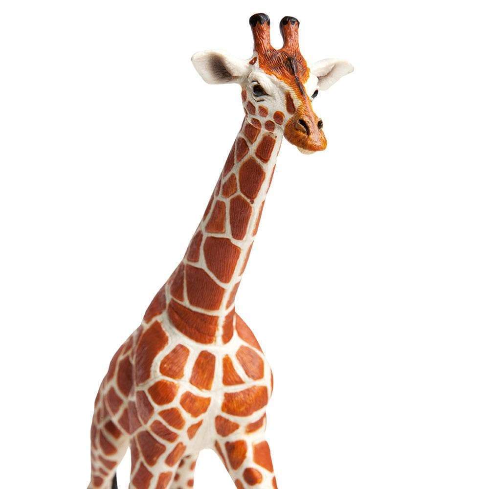 Reticulated Giraffe Toy | Wildlife Animal Toys | Safari Ltd®