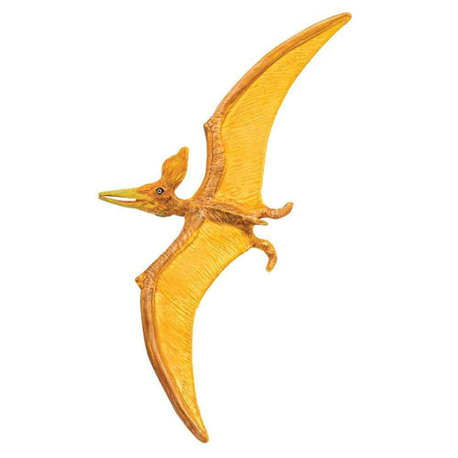Pteranodon Toy | Dinosaur Toys | Safari Ltd.