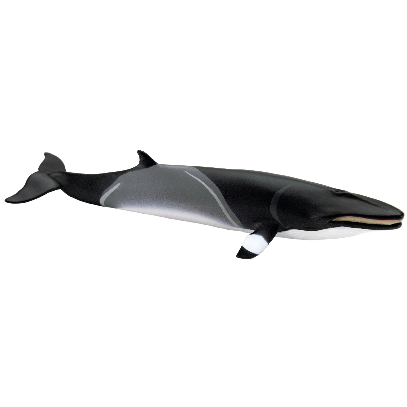 Minke Whale Toy | Safari Ltd®