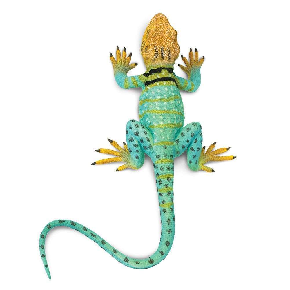 Collared Lizard Toy | Incredible Creatures | Safari Ltd®