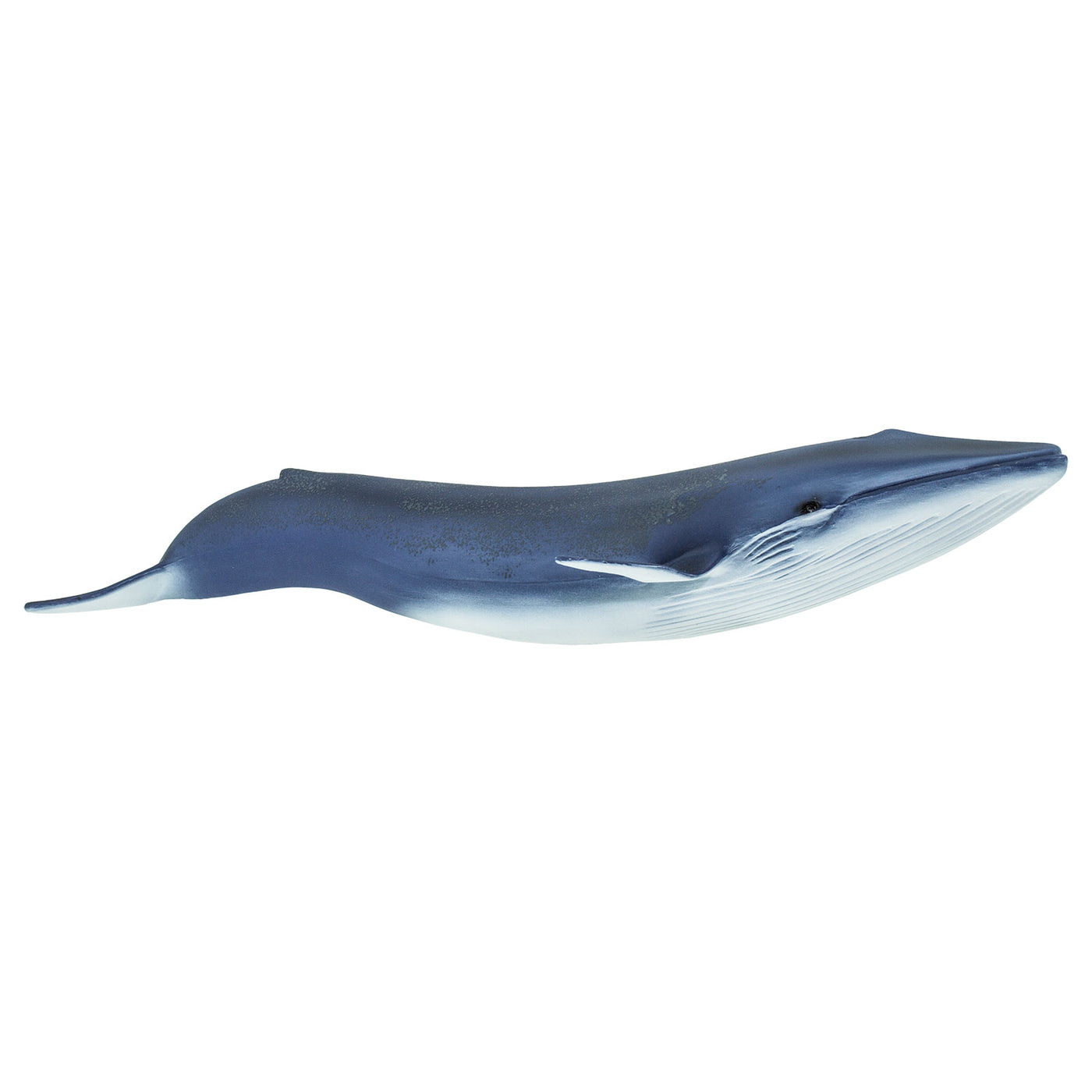 Blue Whale Toy Safari Ltd®