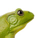 American Bullfrog Toy | Incredible Creatures | Safari Ltd®
