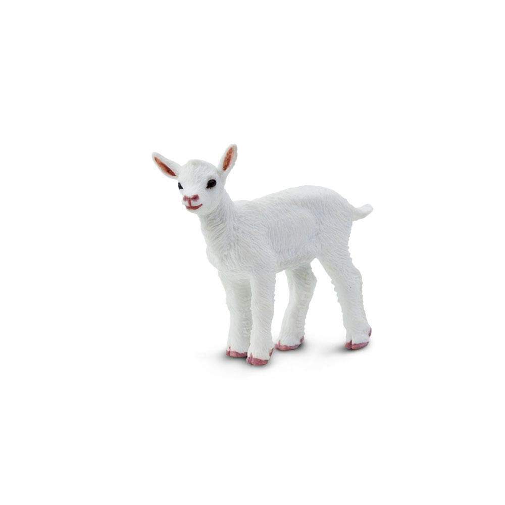 Baby "Kid" Goat Toy