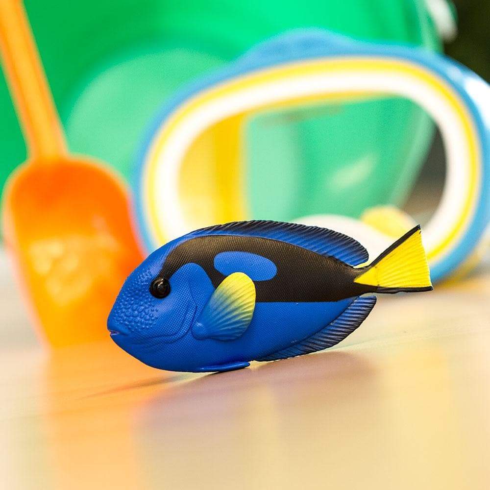 Blue Tang Toy | Incredible Creatures | Safari Ltd®