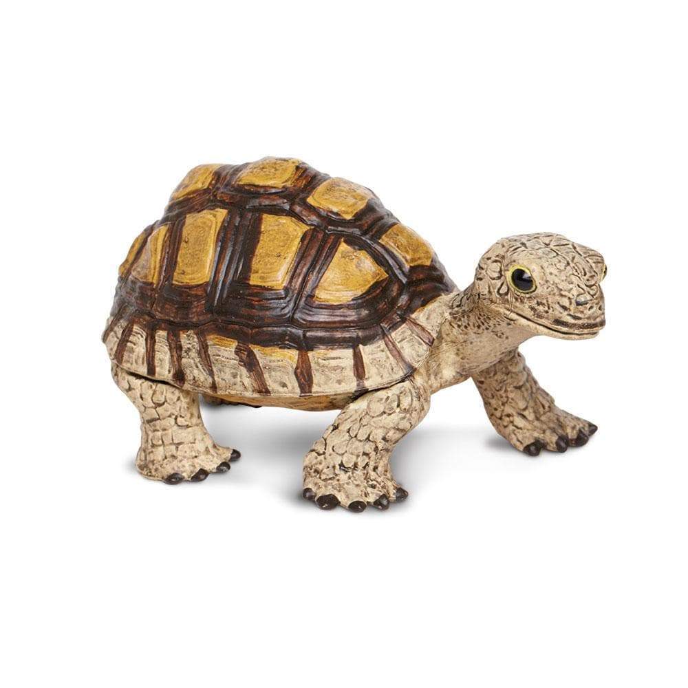 Tortoise Toy | Safari Ltd®
